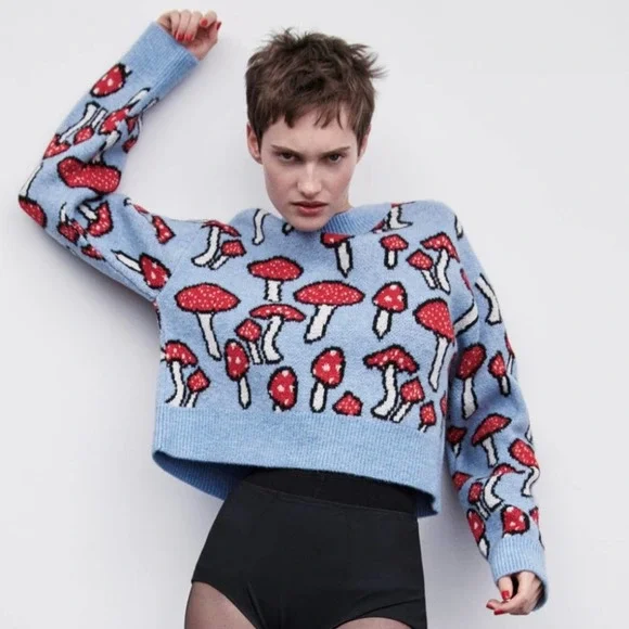 Zara Sweaters Zara Mushroom Print Knit Sweater Size Medium